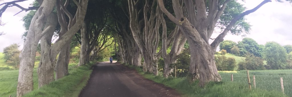 Laurag159's profile banner image