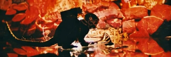 Irisisnotok's profile banner image
