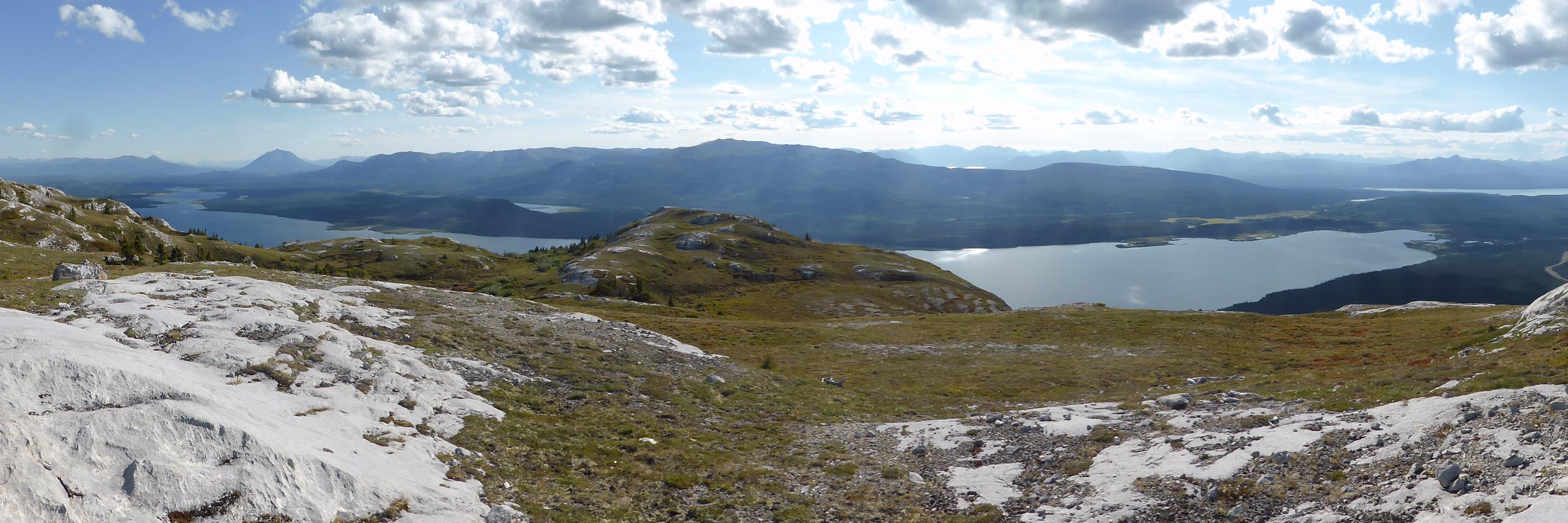 Maura Forrest banner