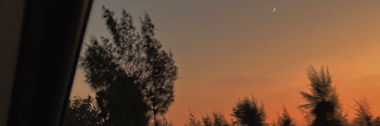 Nora✨ banner