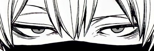 rae banner