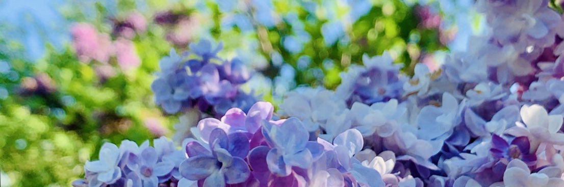 giannaah23's profile banner image