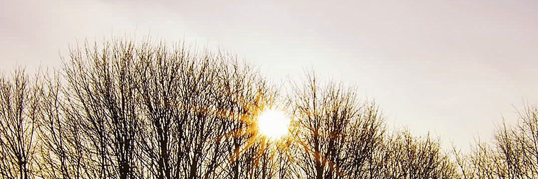 Jessplant9's profile banner image
