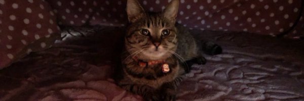 576188tk Profile Banner