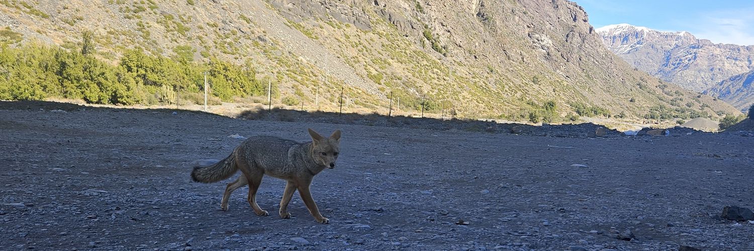 𝙄𝙨𝙖𝙘𝗸 banner