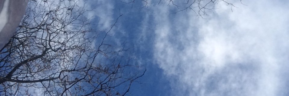 Lobos317's profile banner image