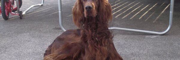 Gregr0206R Profile Banner