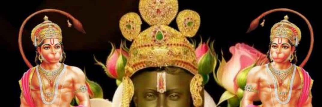 सरिता Deshu Sharma (D.El.Ed 2017) banner