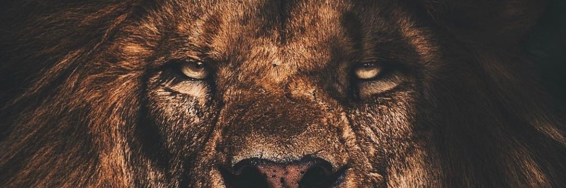 DavidBMarkwei's profile banner image