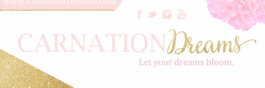 carnationdreams's profile banner image