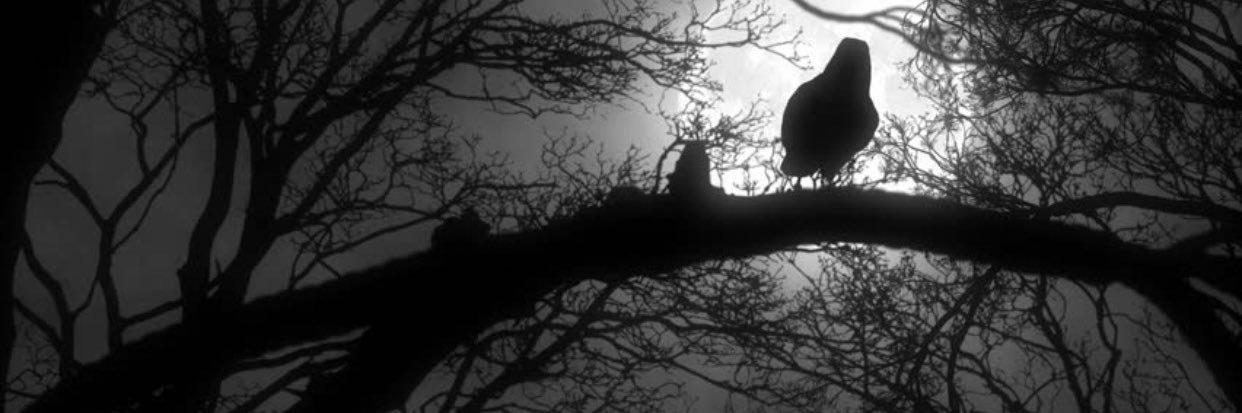 DeadBreedd's profile banner image