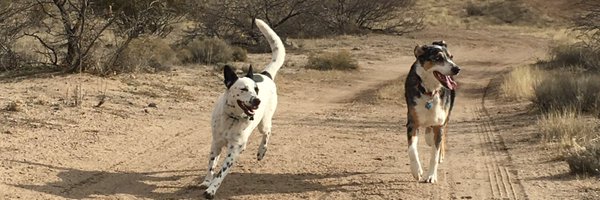 HammondSan Profile Banner