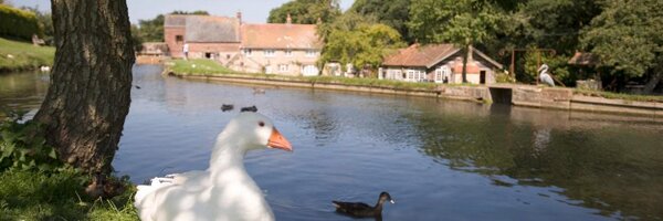 CalbourneMill Profile Banner