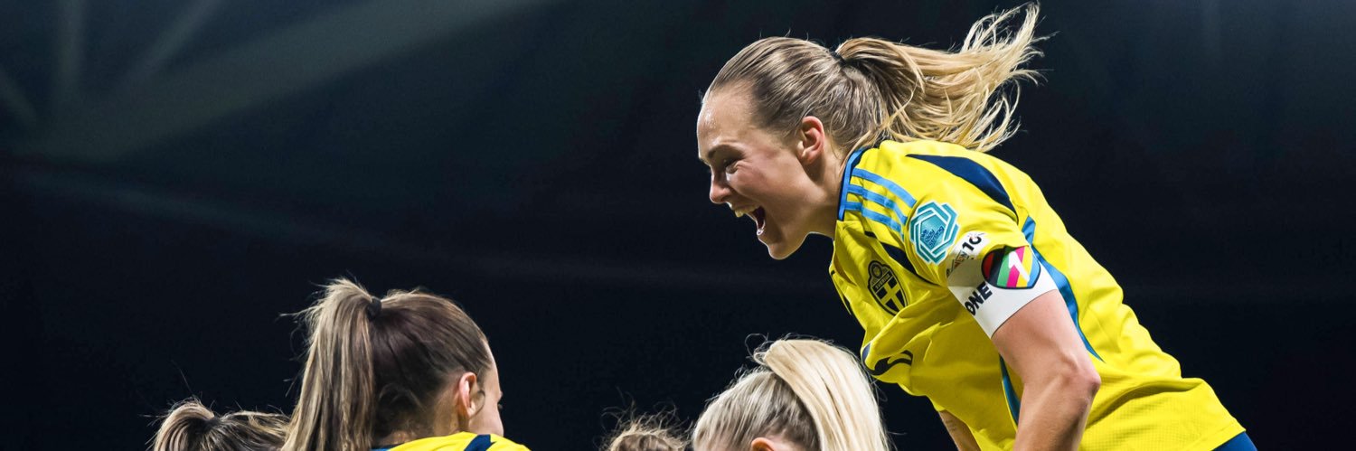 B (Rolfö’s version)☭🇸🇪 banner