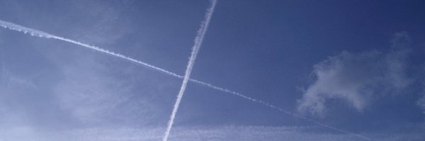 guell_berta Profile Banner