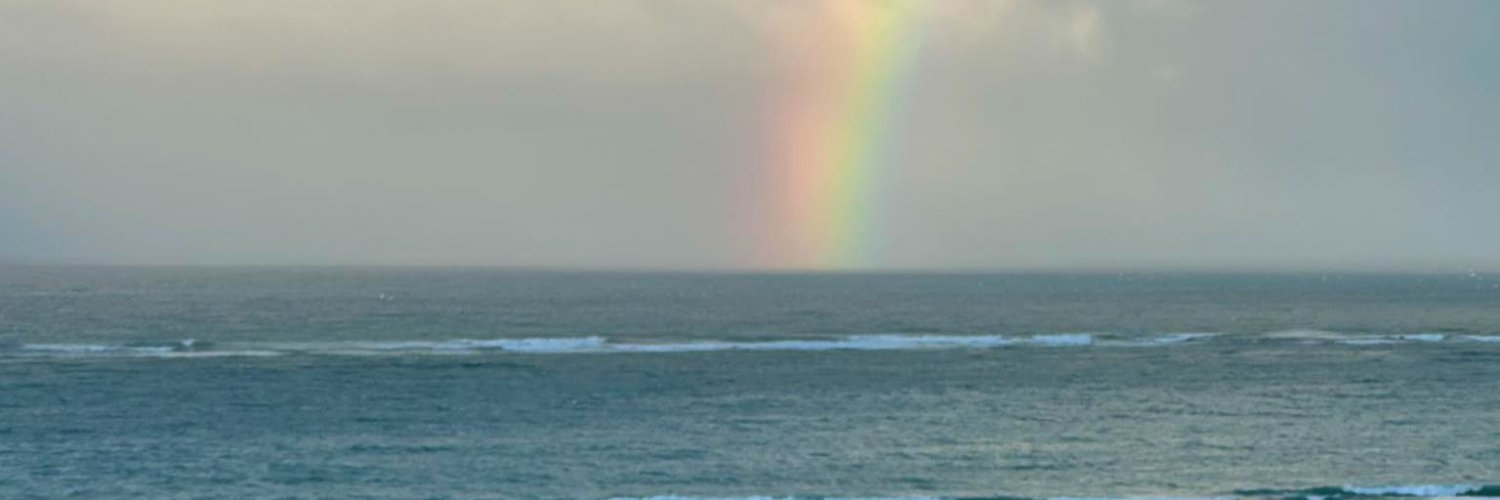 Dawn M. Adams banner