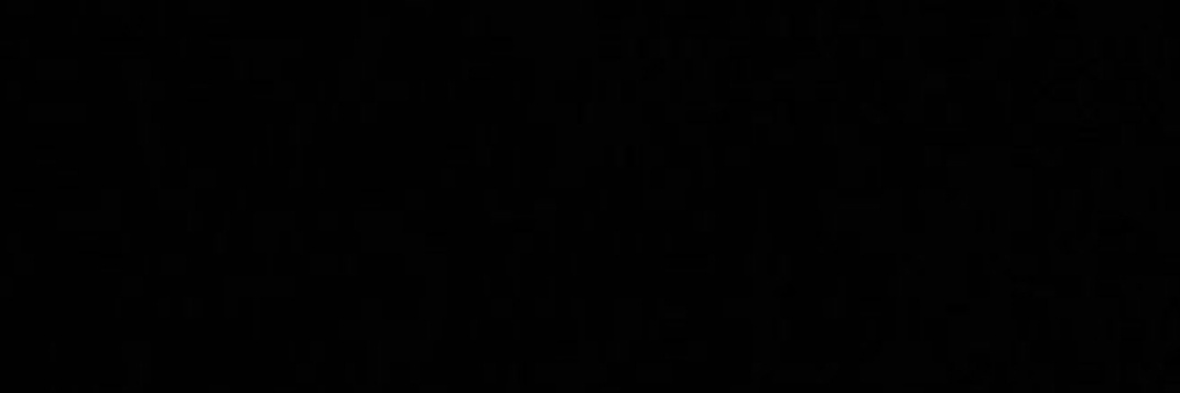 schiavnes's profile banner image
