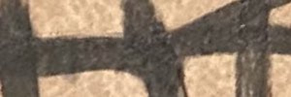 SAMOOficiall Profile Banner
