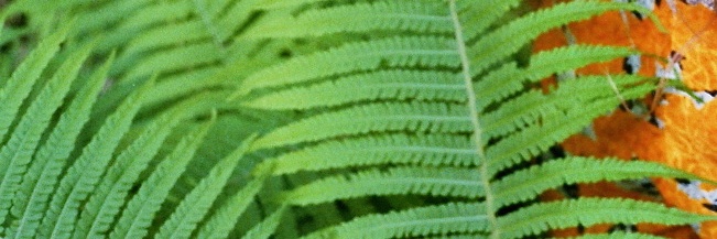 nonogigsta.bsky.social banner