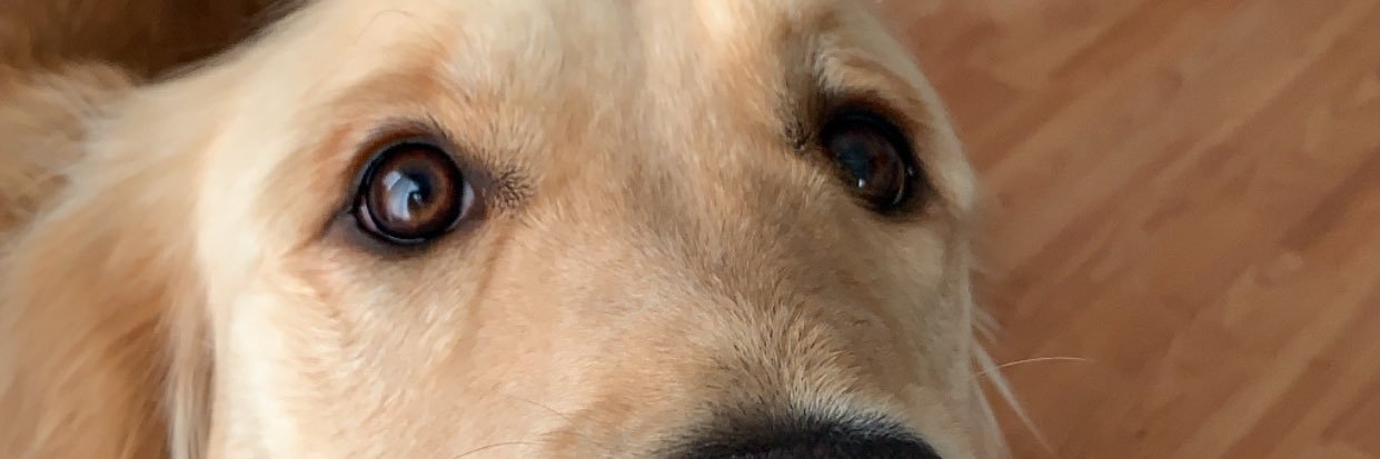 lesshasfrecks's profile banner image