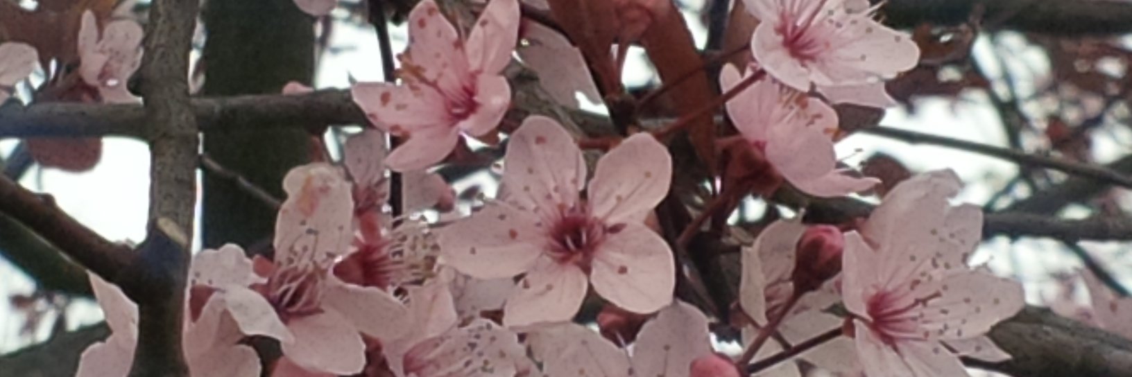 SunSkidding's profile banner image