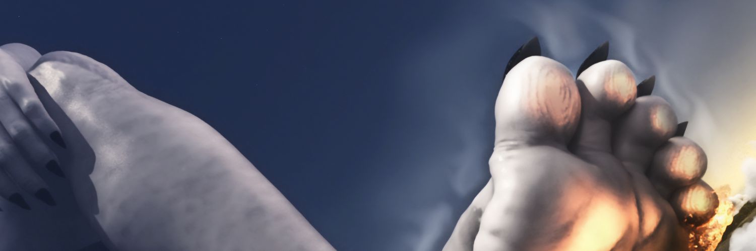 SoleCorp™ CEO banner