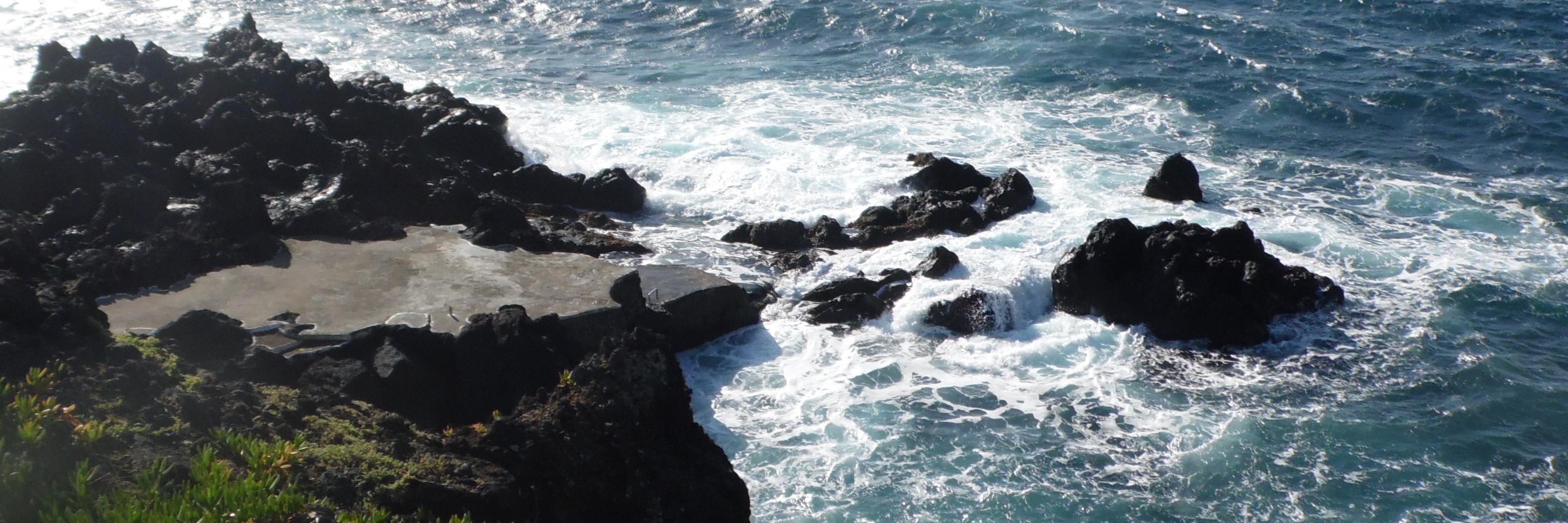 CatRodrigues17's profile banner image