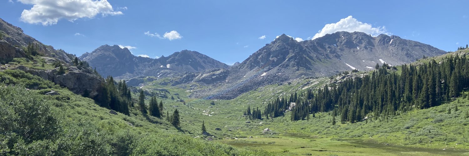 Hope Davis-Wilson banner