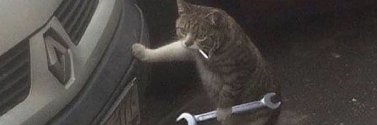 so0o192's profile banner image