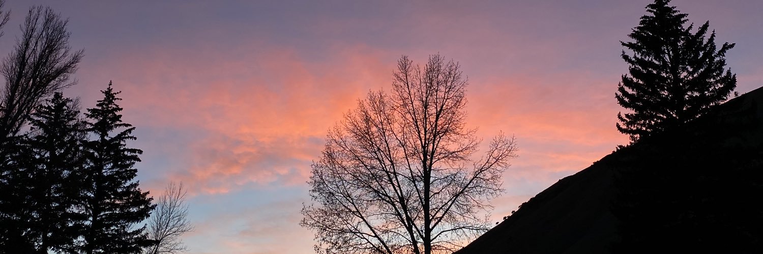 jacquehuntt's profile banner image