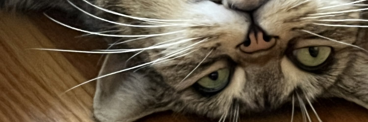 Retired Soccer Coach banner