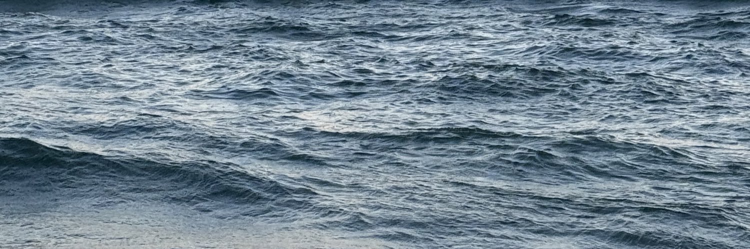 CAMRice15's profile banner image