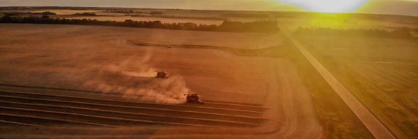 RinasKassi Profile Banner