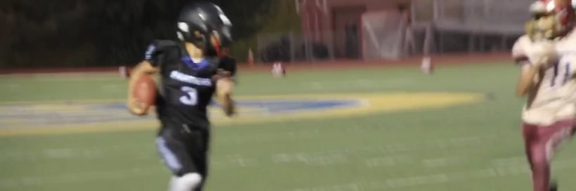 Trenice Woods banner