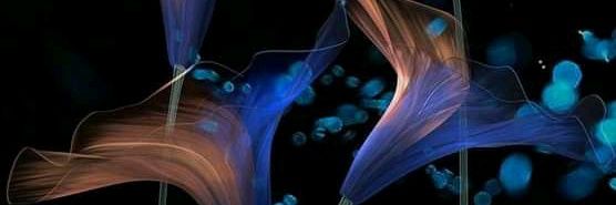Ana_Anaya24's profile banner image