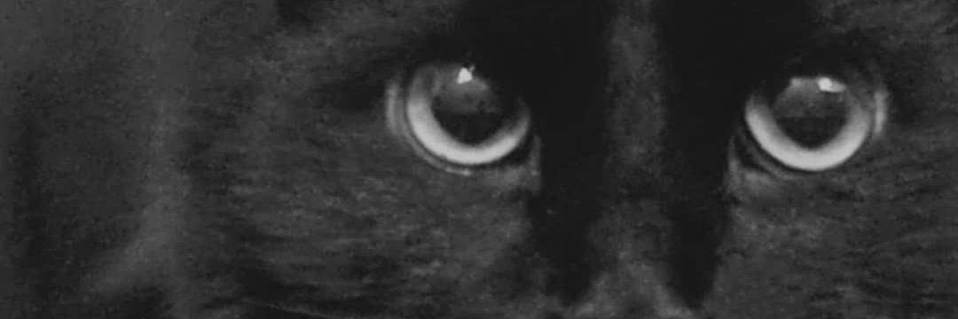 UrielGMoran's profile banner image