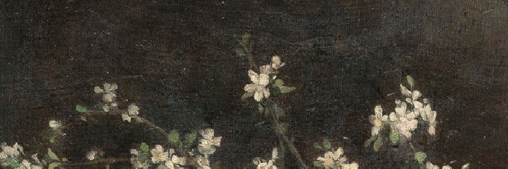 karenina banner
