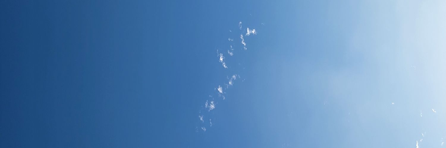 pinkpuffy03's profile banner image
