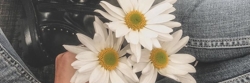 NohelyVA's profile banner image