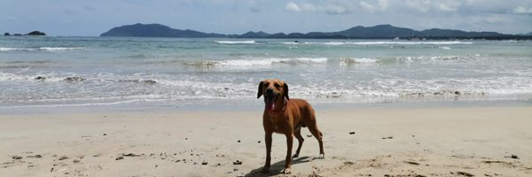 GoyerMel Profile Banner