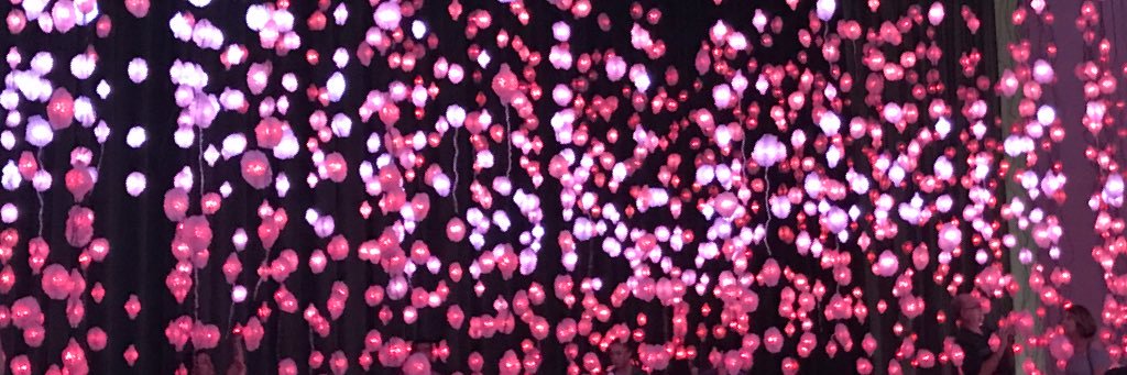 Ali_D1810's profile banner image