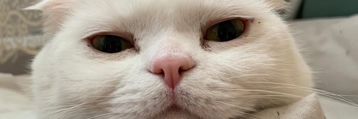 fulyabenim's profile banner image