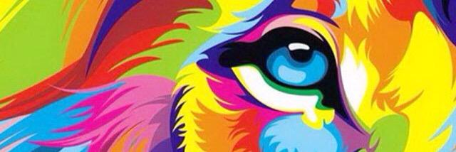 raysub13's profile banner image