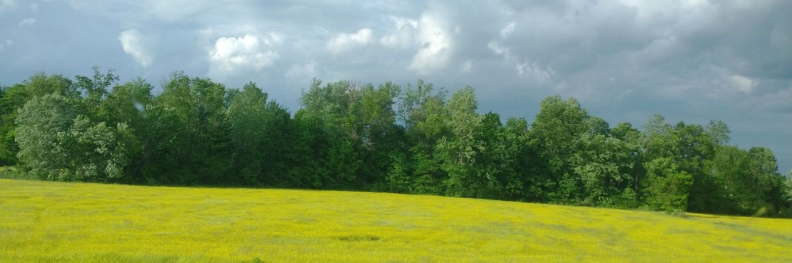 ritterfolk's profile banner image