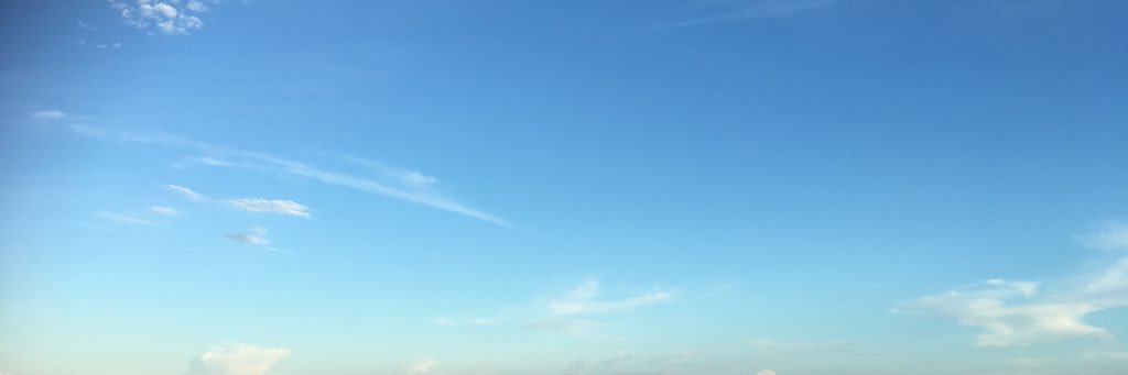 0xa1259dc4's profile banner image