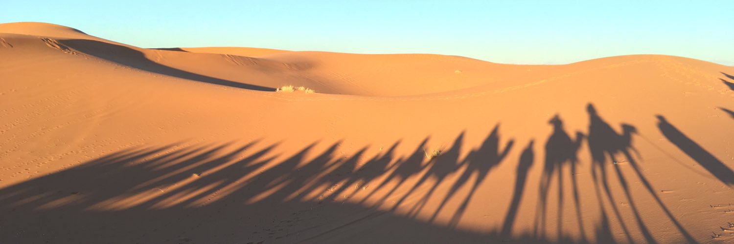 rigadi84's profile banner image