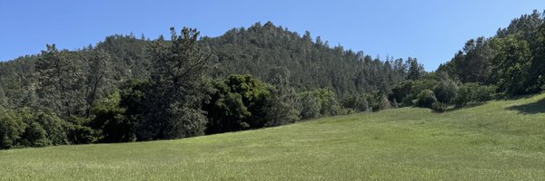 CryptoFrankiee Profile Banner