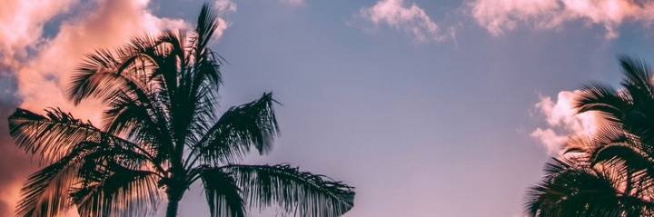 LeoMonzon10's profile banner image