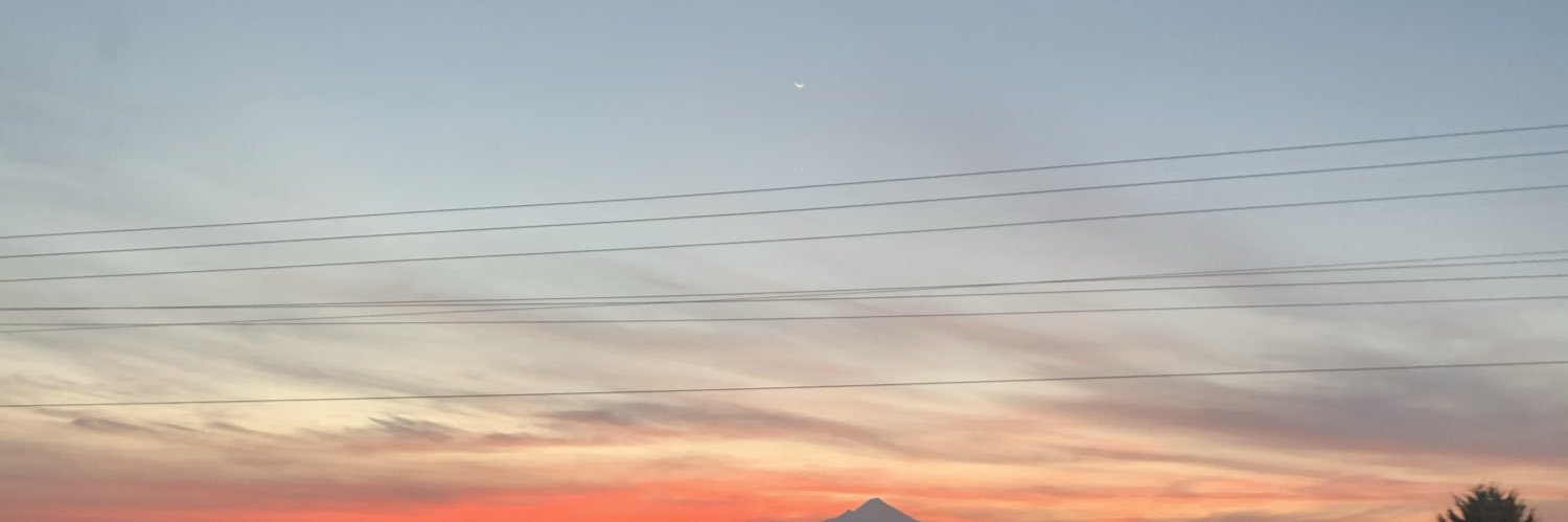 ItsJustSofii's profile banner image