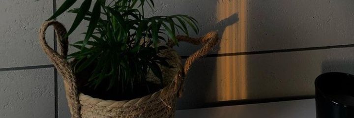 _theyann's profile banner image